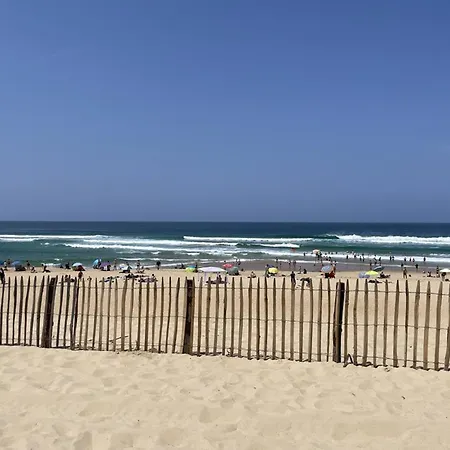 T4 A 6 Pers, Proche Ocean, Animaux Acceptes - Fr-1-379-114 メサンジュ