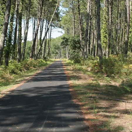 T4 A 6 Pers, Proche Ocean, Animaux Acceptes - Fr-1-379-114 וילה מסאנז'