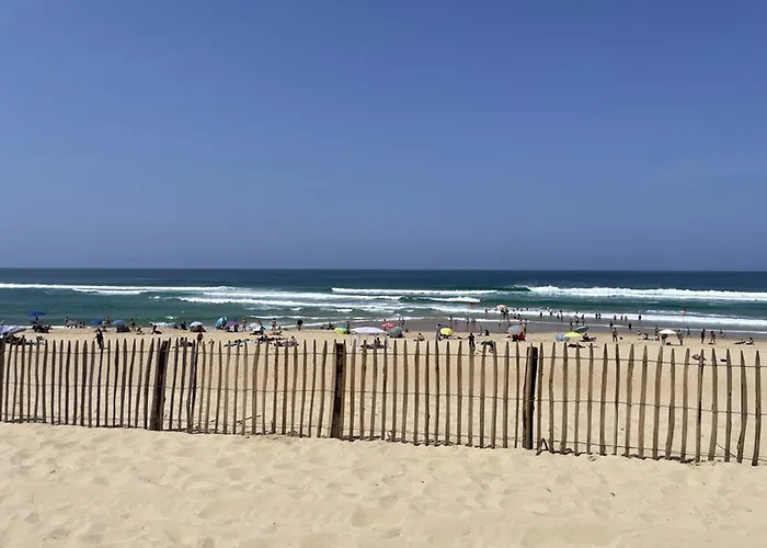 T4 Proche Océan Pour 6 Pers. Avec Wifi Et Animaux Admis - Fr-1-379-114 Messanges (Landes)