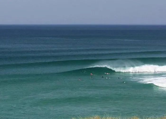 T4 Proche Océan Pour 6 Pers. Avec Wifi Et Animaux Admis - Fr-1-379-114 Messanges (Landes)